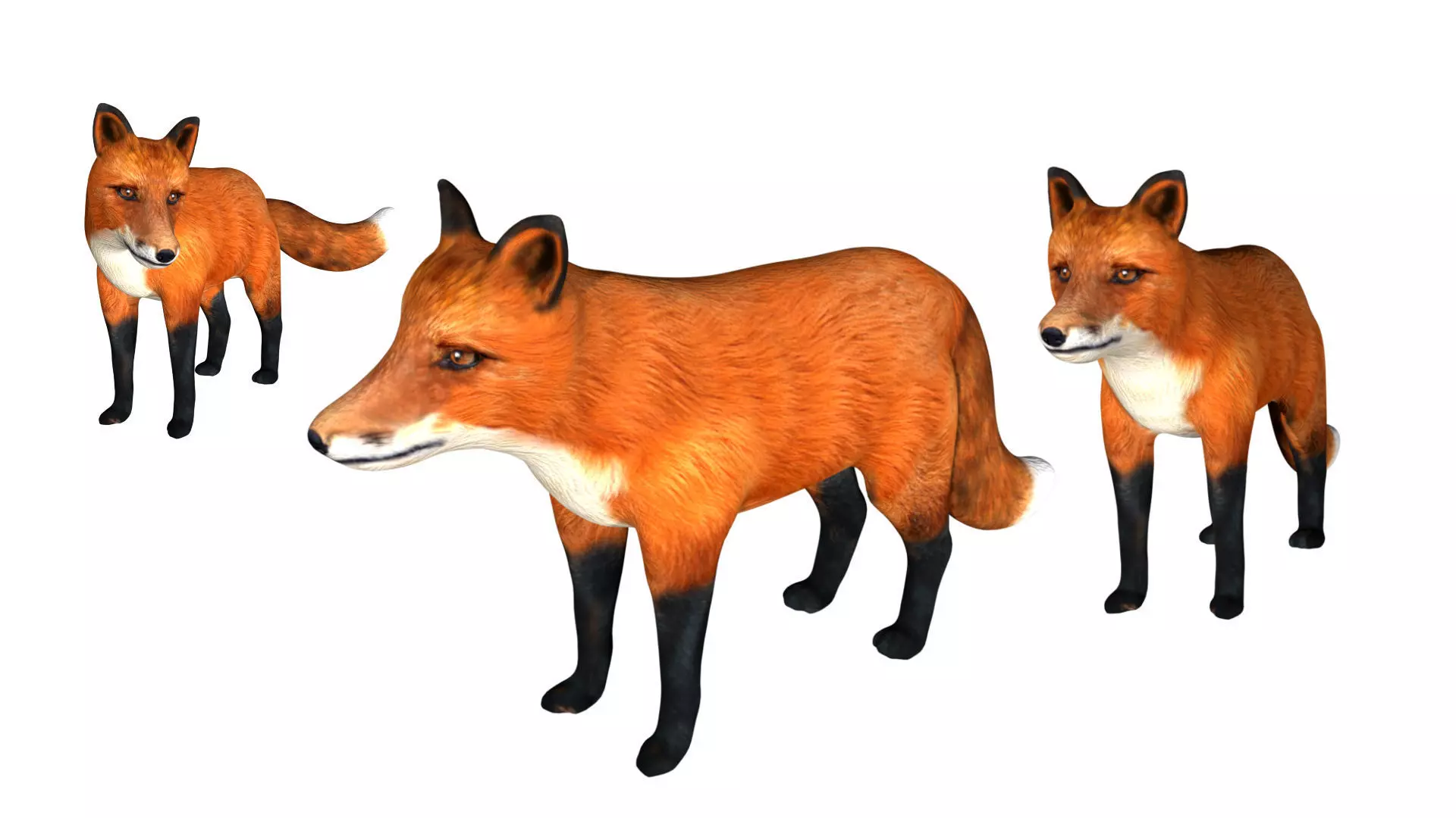 Red Fox Low-poly 3D model