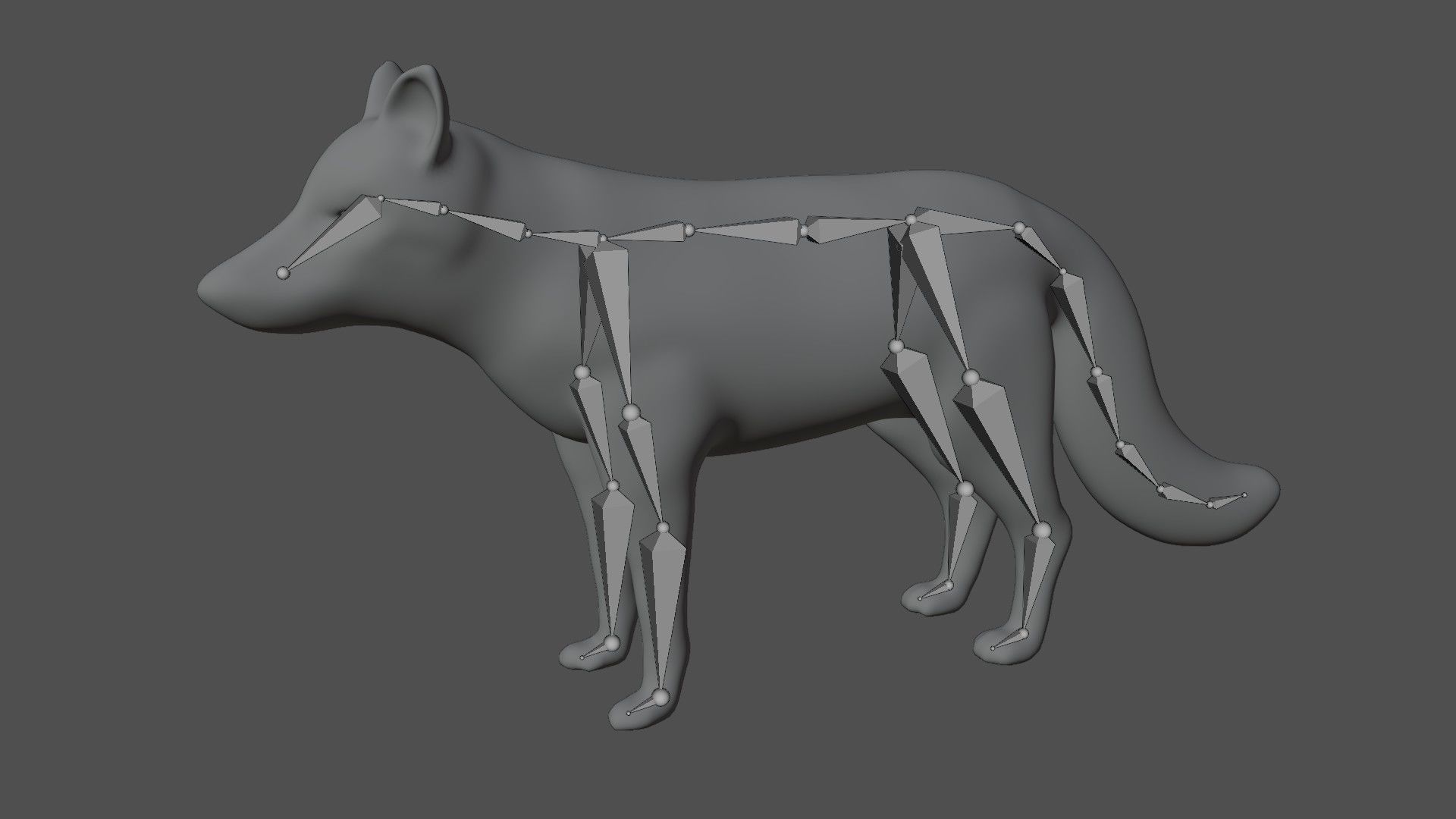 Arctic Fox Low-poly 3D model_8