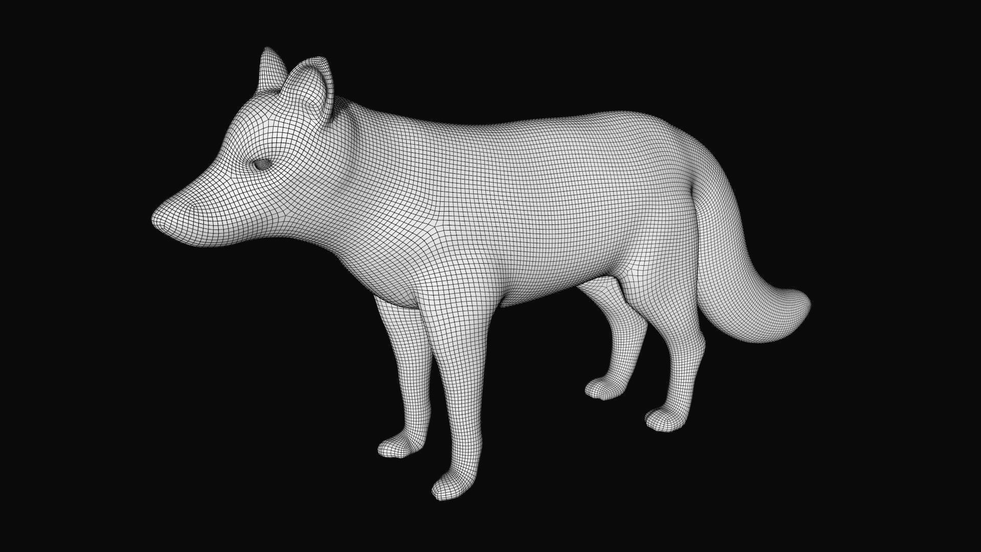 Arctic Fox Low-poly 3D model_9