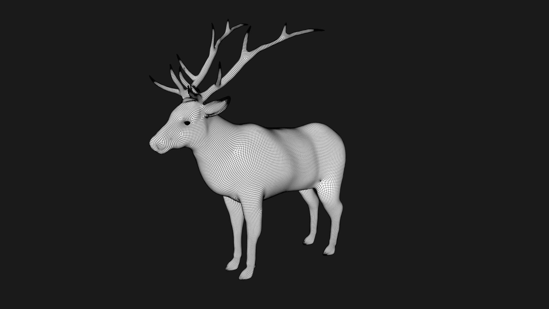 Elk Deer Low-poly 3D model_11