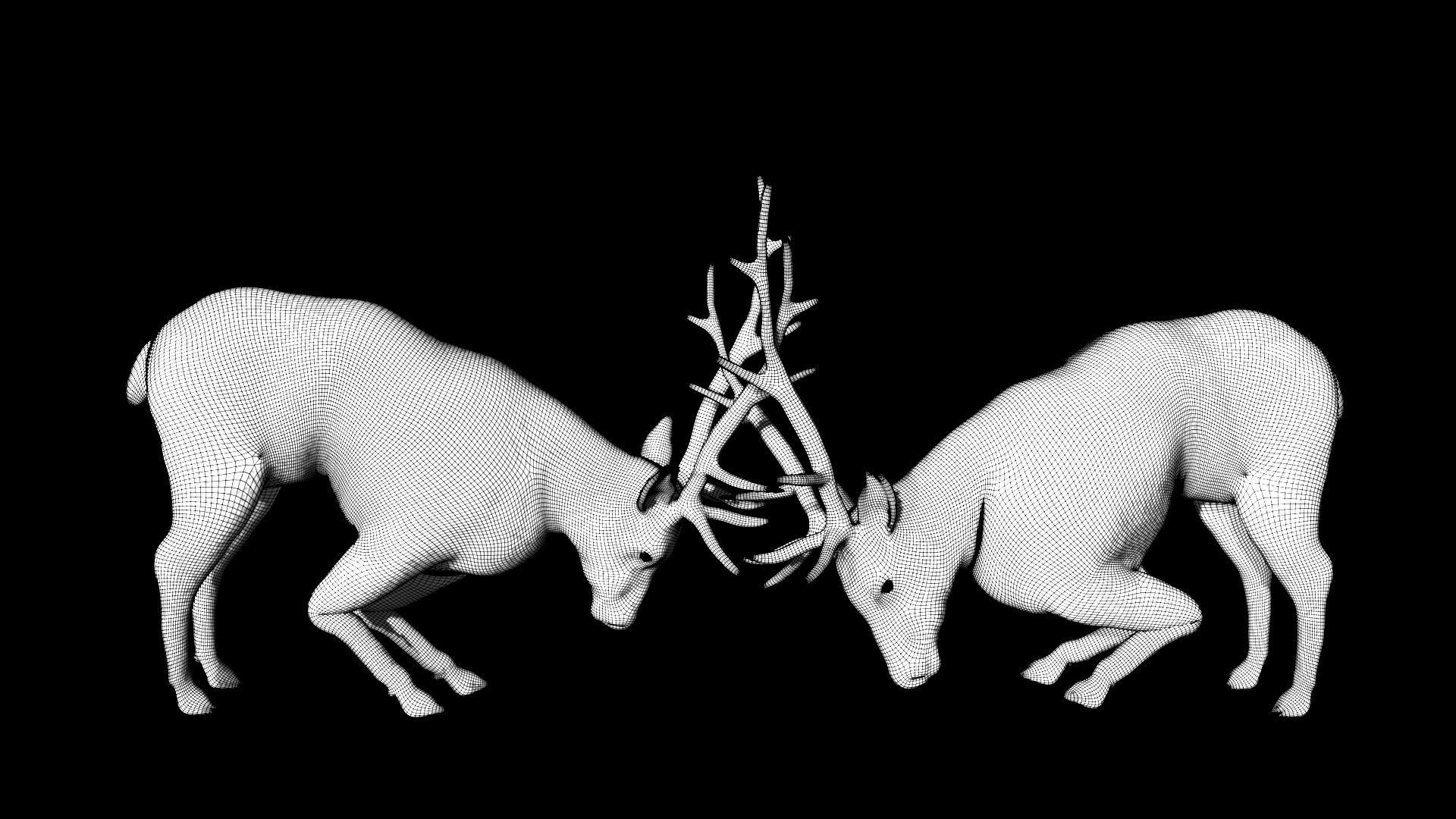 Fighting Elk Low-poly 3D model_8