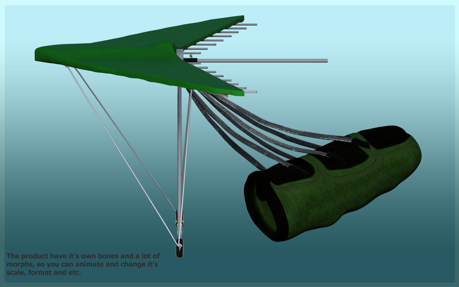GS Hang glider for Daz Studio 3D model_2