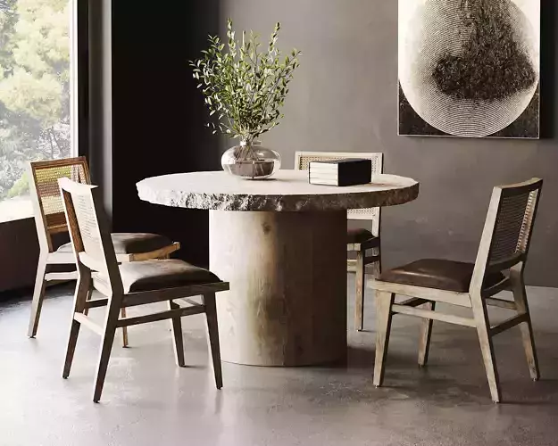 Rustic Dining Room Interior  ID298