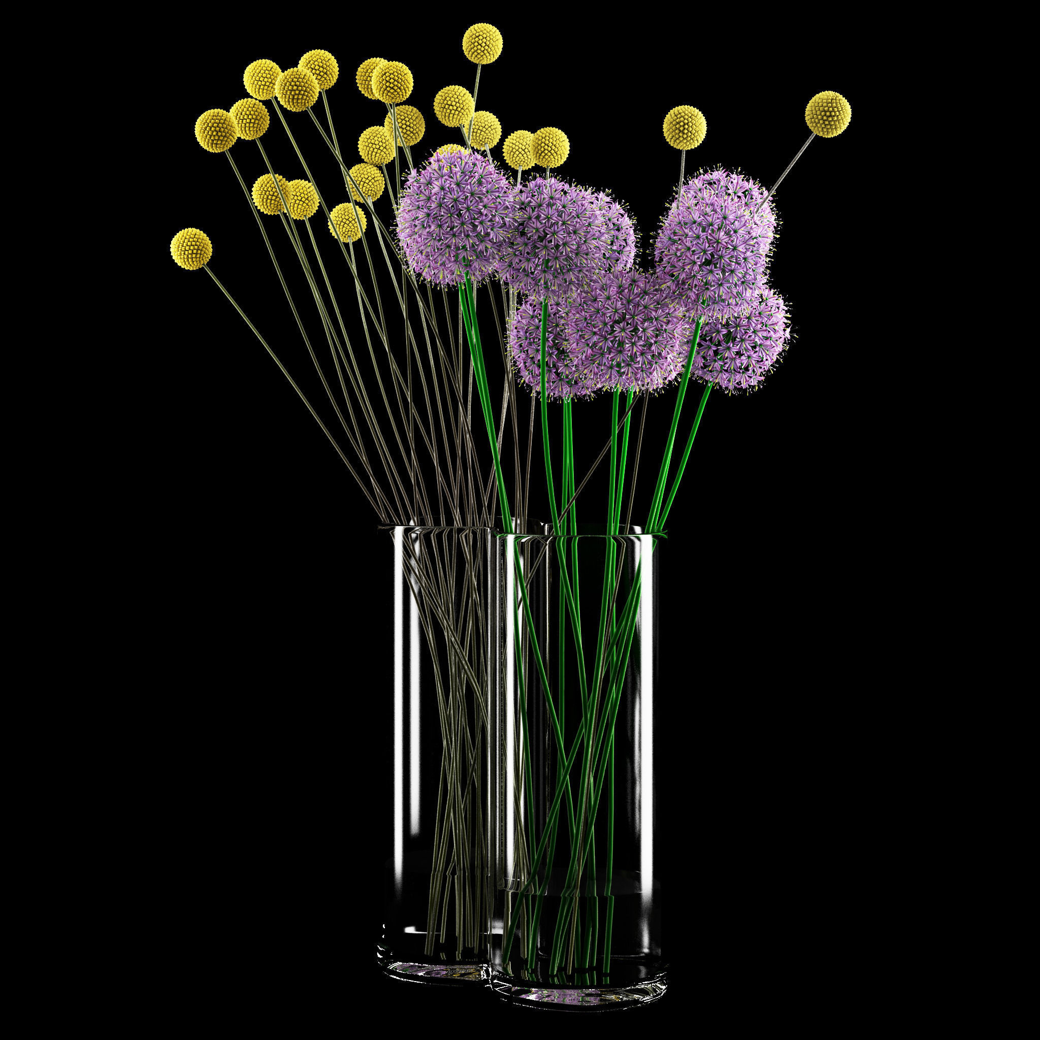 Craspedia and Allium 3D model_1