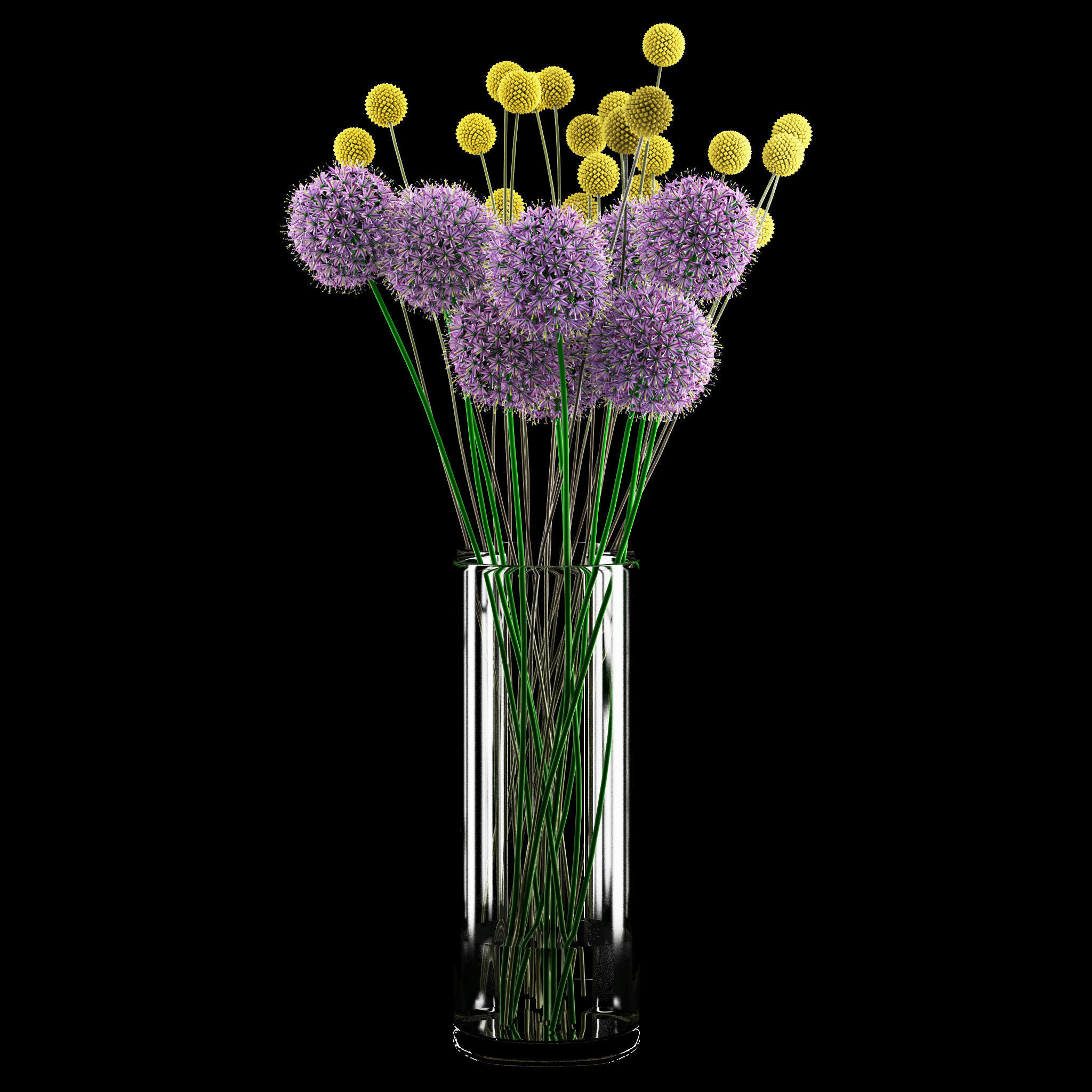 Craspedia and Allium 3D model_2