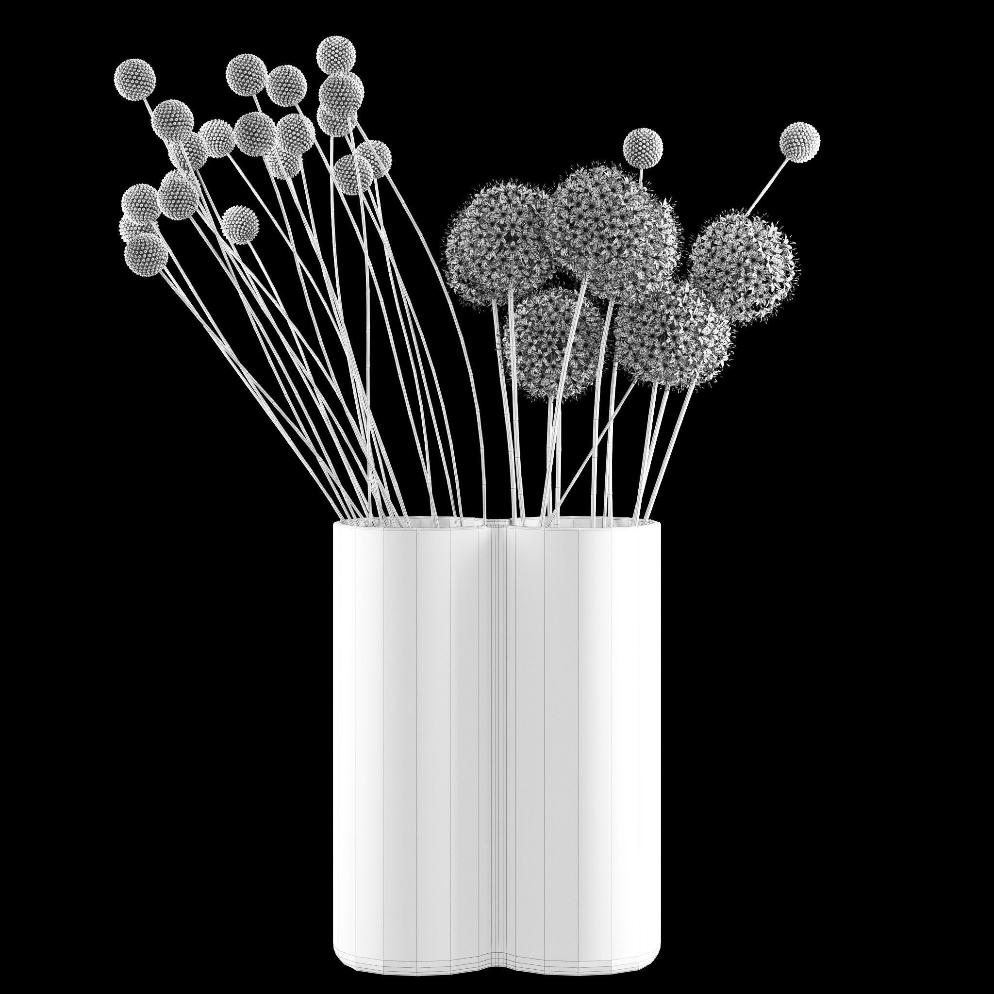 Craspedia and Allium 3D model_7