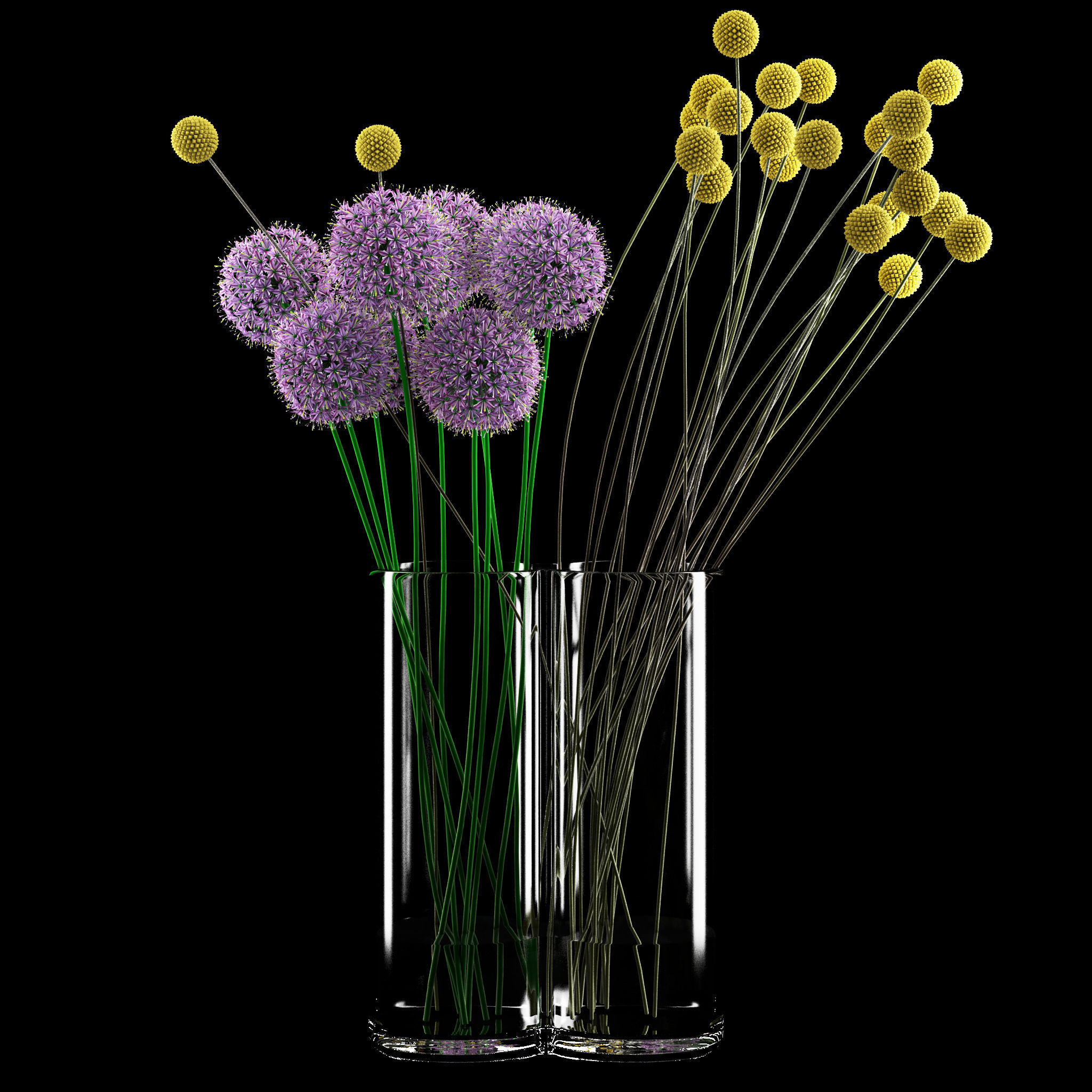 Craspedia and Allium 3D model_3