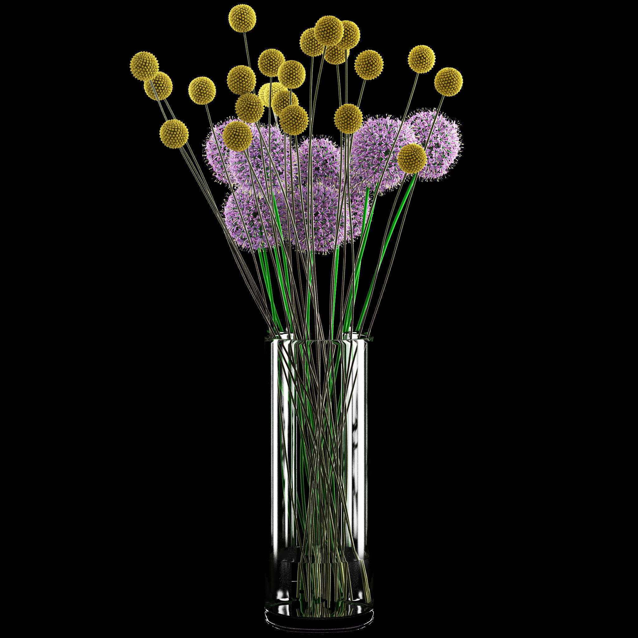 Craspedia and Allium 3D model_4