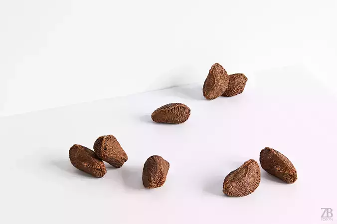 Brazil Nut