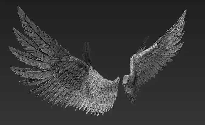 Wings Realistic pair of colorful feathered 3D model