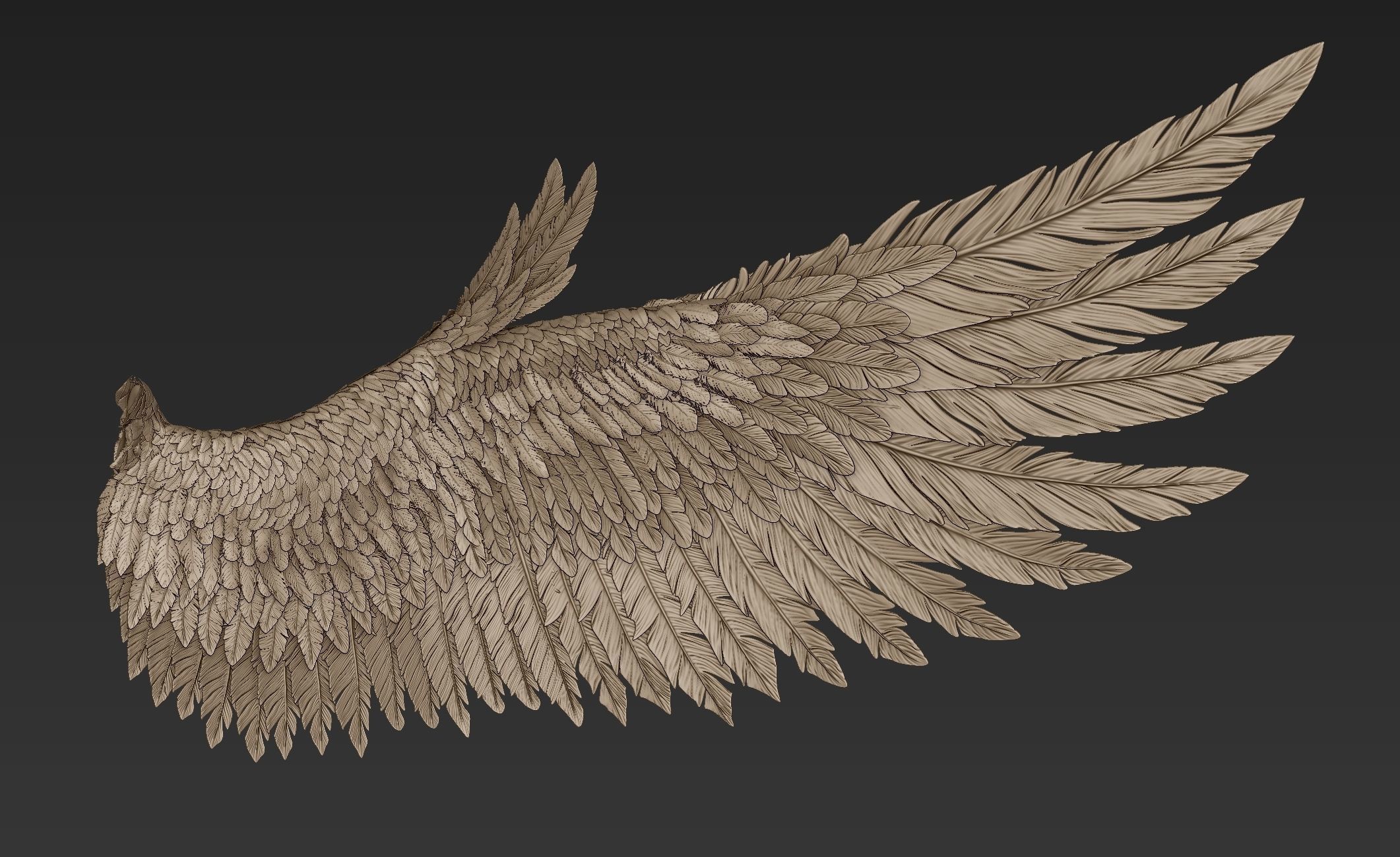 Wings Realistic pair of colorful feathered 3D model_16