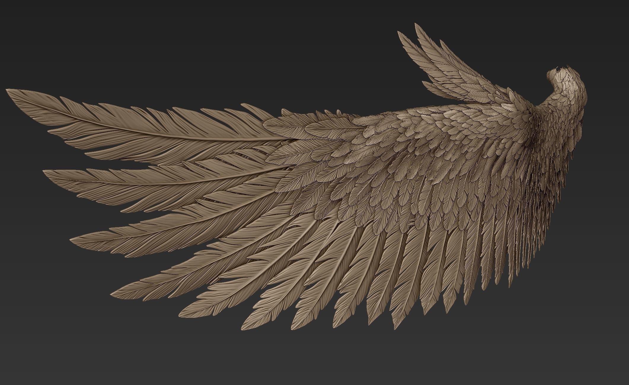 Wings Realistic pair of colorful feathered 3D model_15