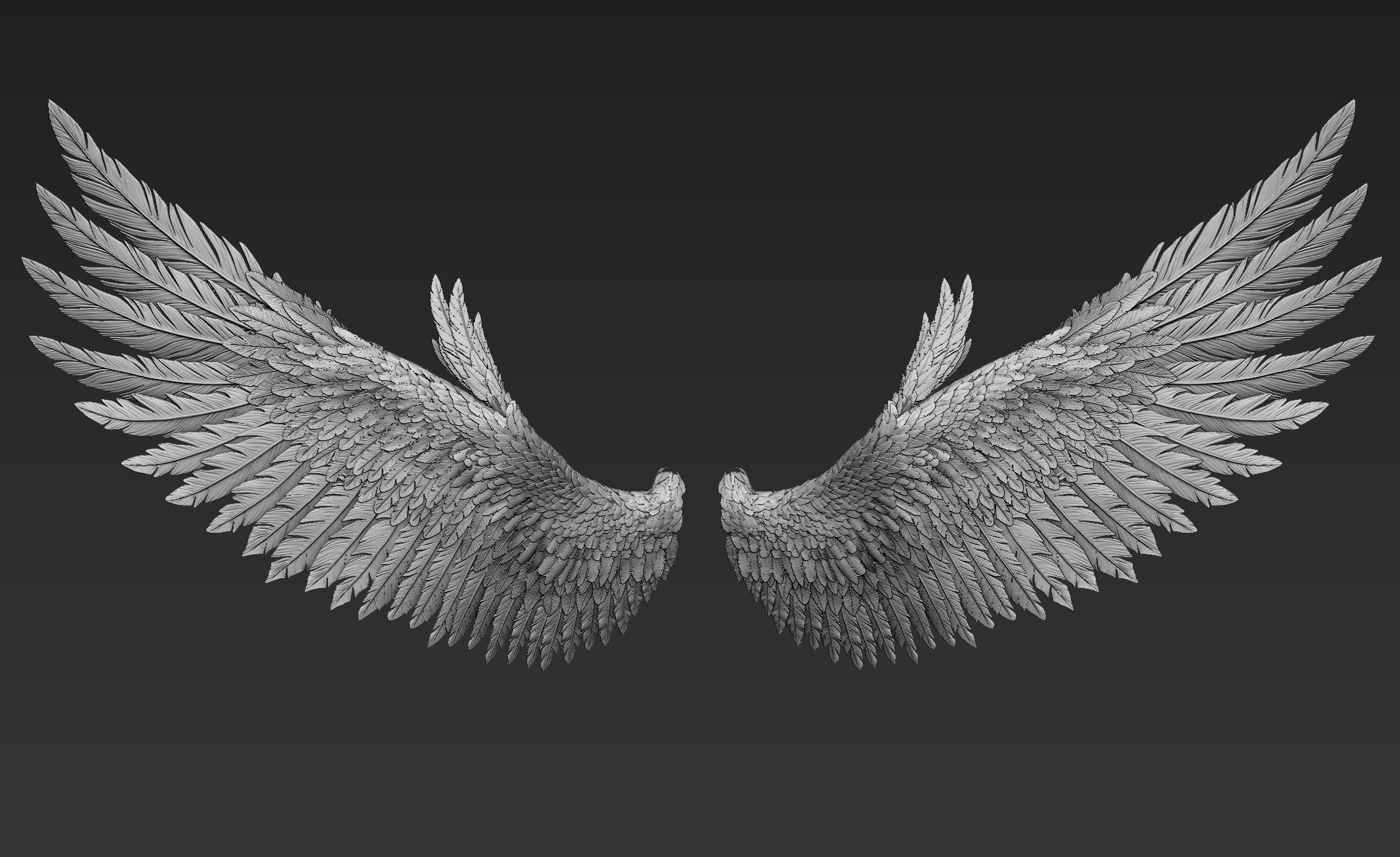 Wings Realistic pair of colorful feathered 3D model_12