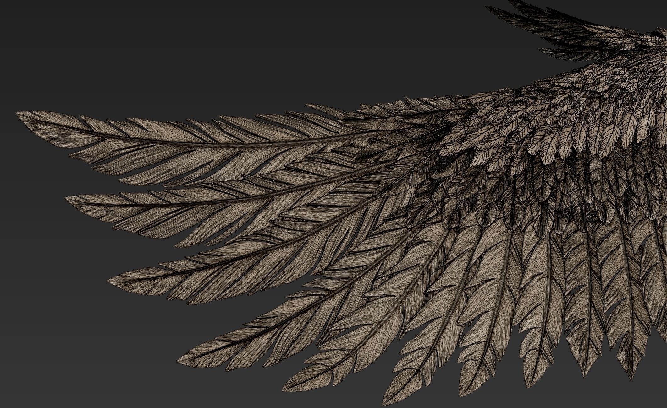 Wings Realistic pair of colorful feathered 3D model_17