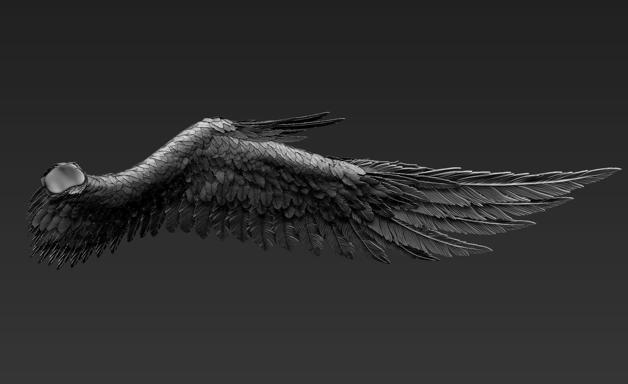 Wings Realistic pair of colorful feathered 3D model_4