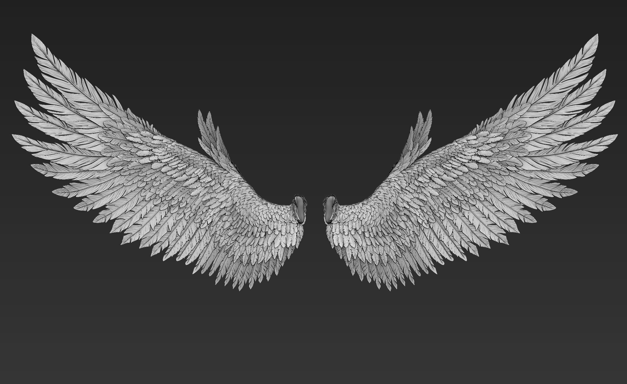 Wings Realistic pair of colorful feathered 3D model_8