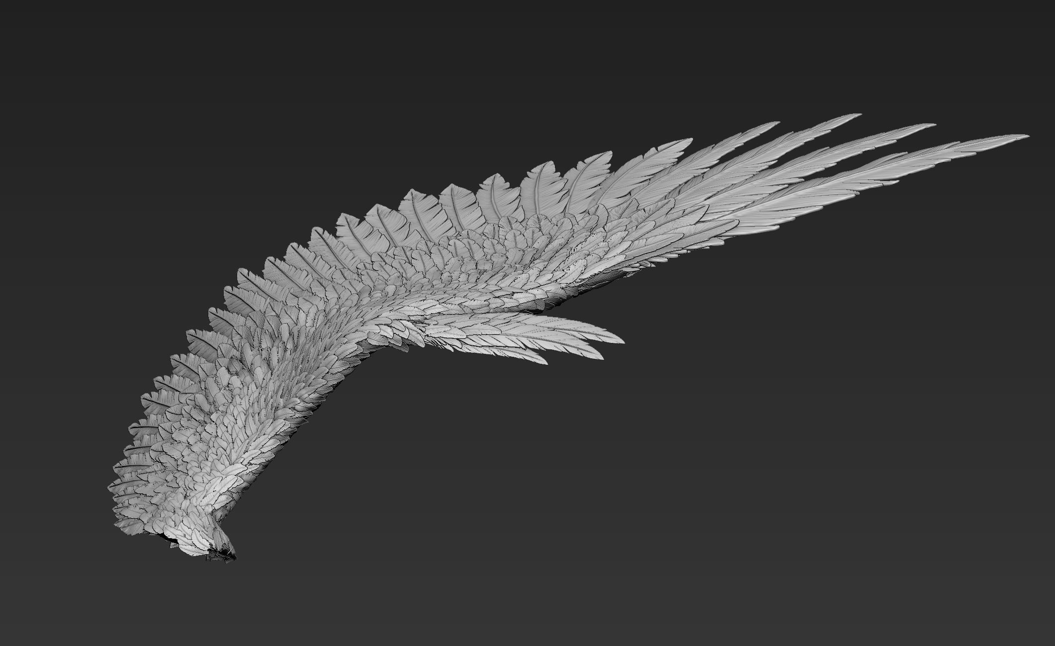 Wings Realistic pair of colorful feathered 3D model_5