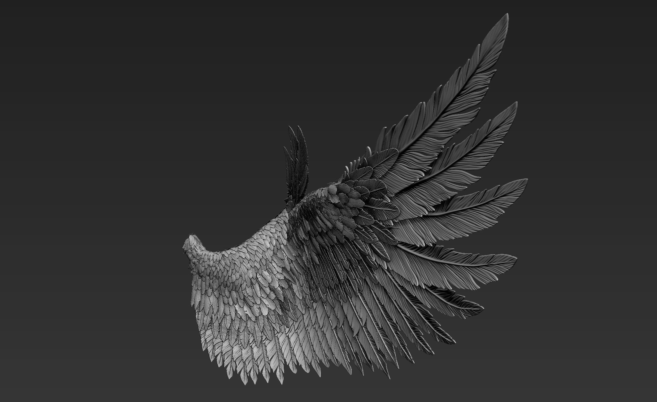 Wings Realistic pair of colorful feathered 3D model_6