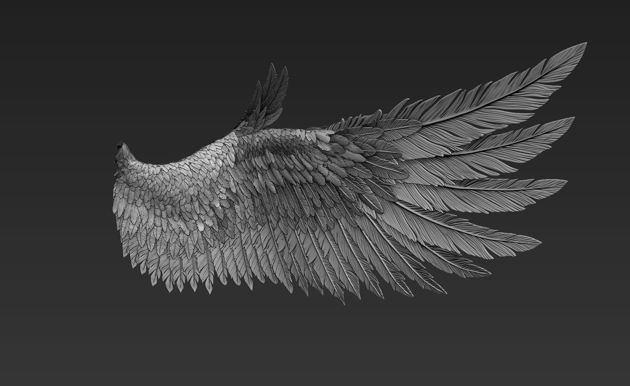 Wings Realistic pair of colorful feathered 3D model_2