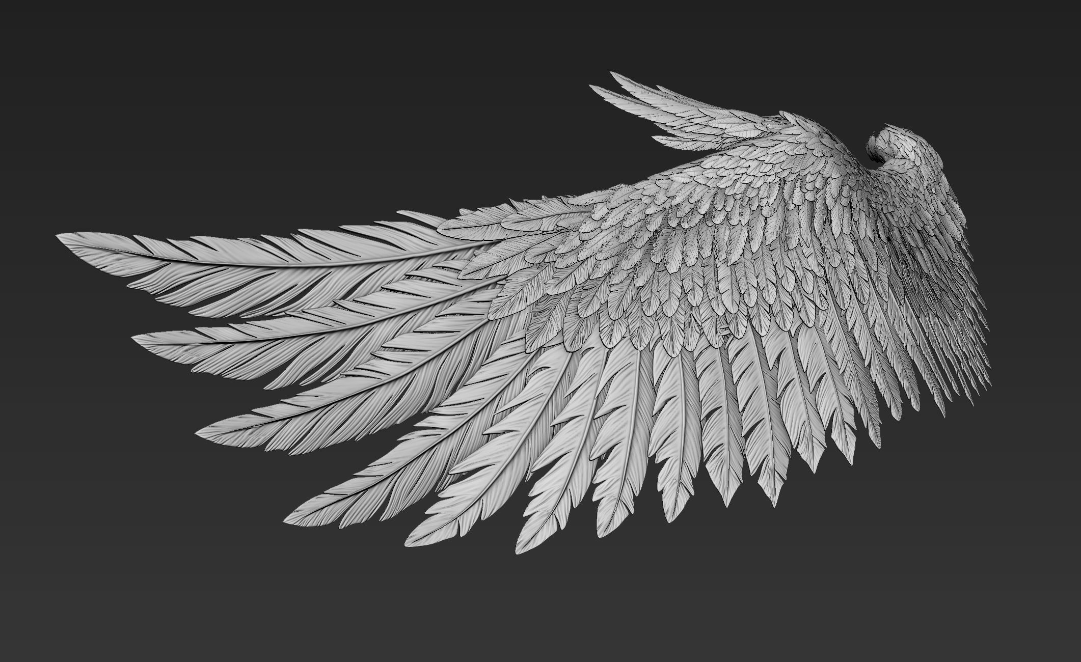Wings Realistic pair of colorful feathered 3D model_1