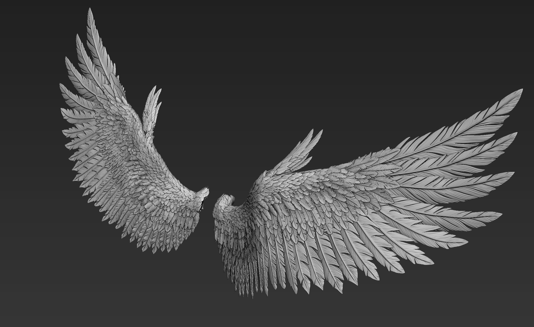 Wings Realistic pair of colorful feathered 3D model_11