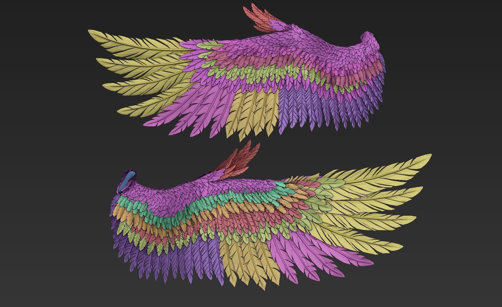 Wings Realistic pair of colorful feathered 3D model_13