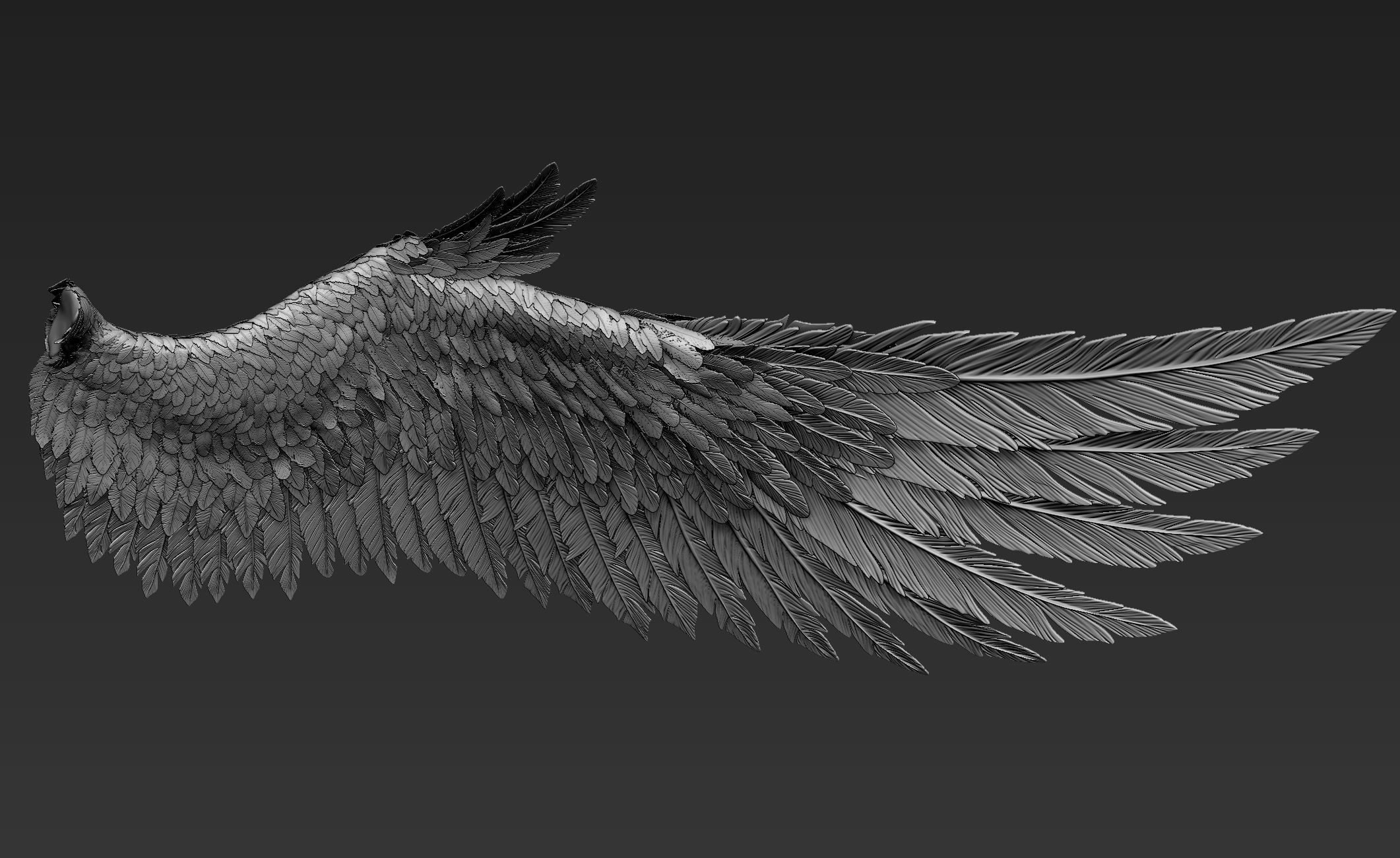 Wings Realistic pair of colorful feathered 3D model_3