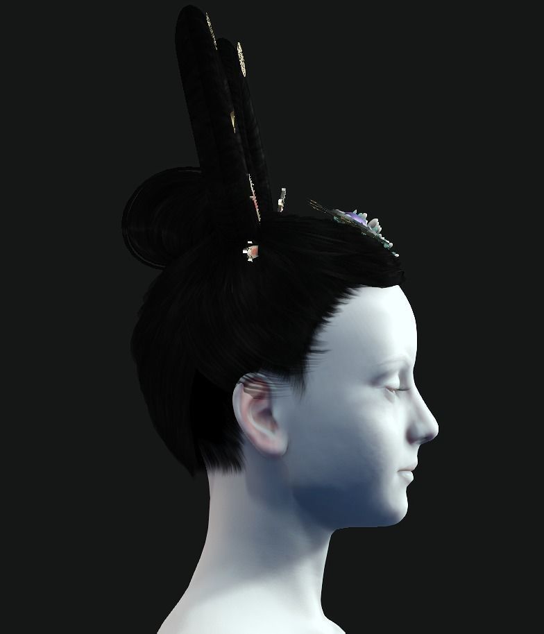 DTS - Model 3C Hair Low-poly 3D model_3