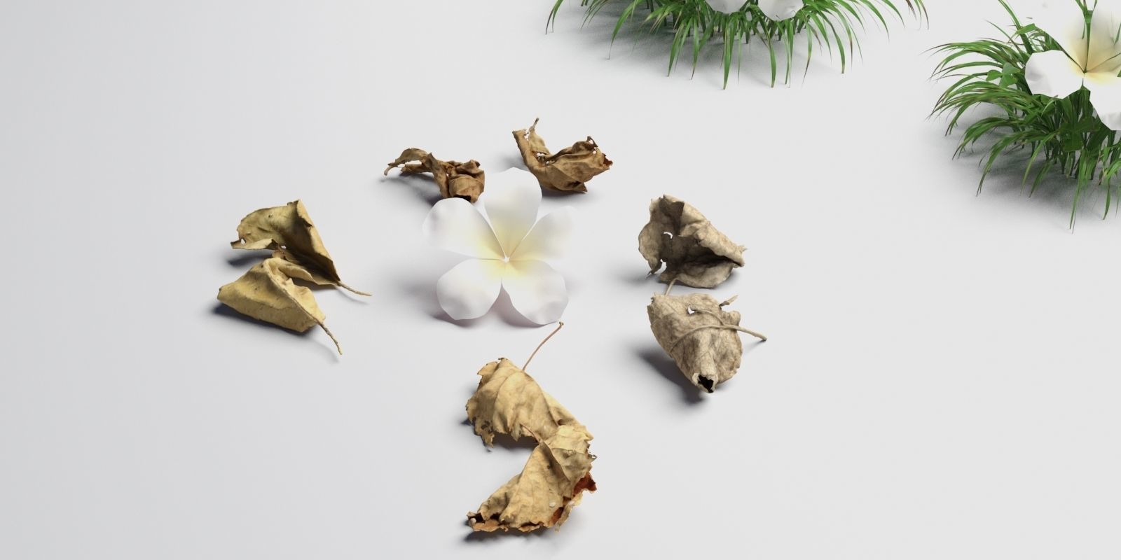 Grass sample ready for scatter 3D model_2