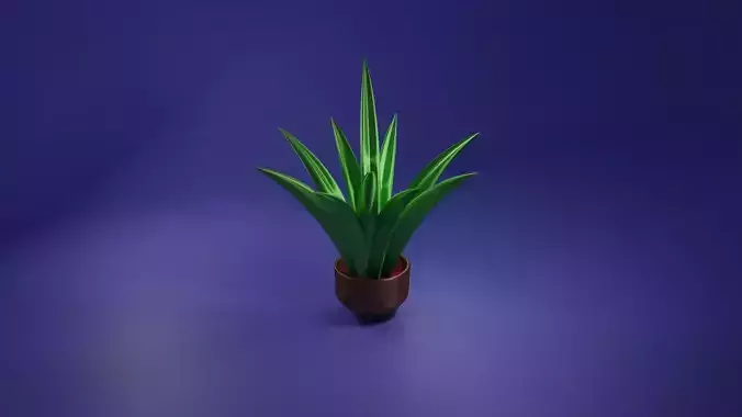 Plant