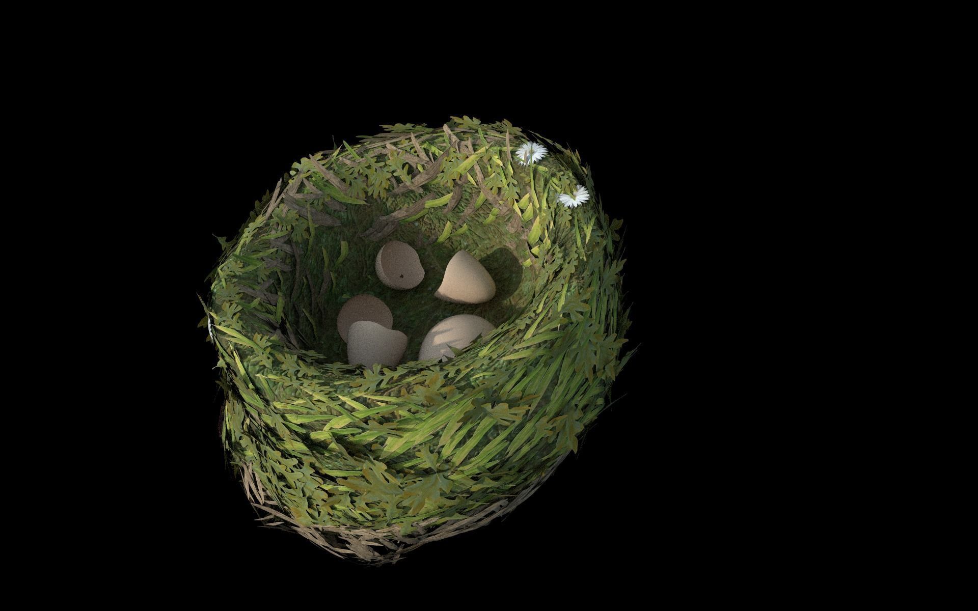 Bird Nest flower Low-poly 3D model_3