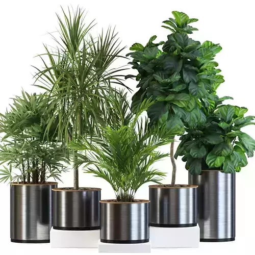 Plants collection 550 3D model