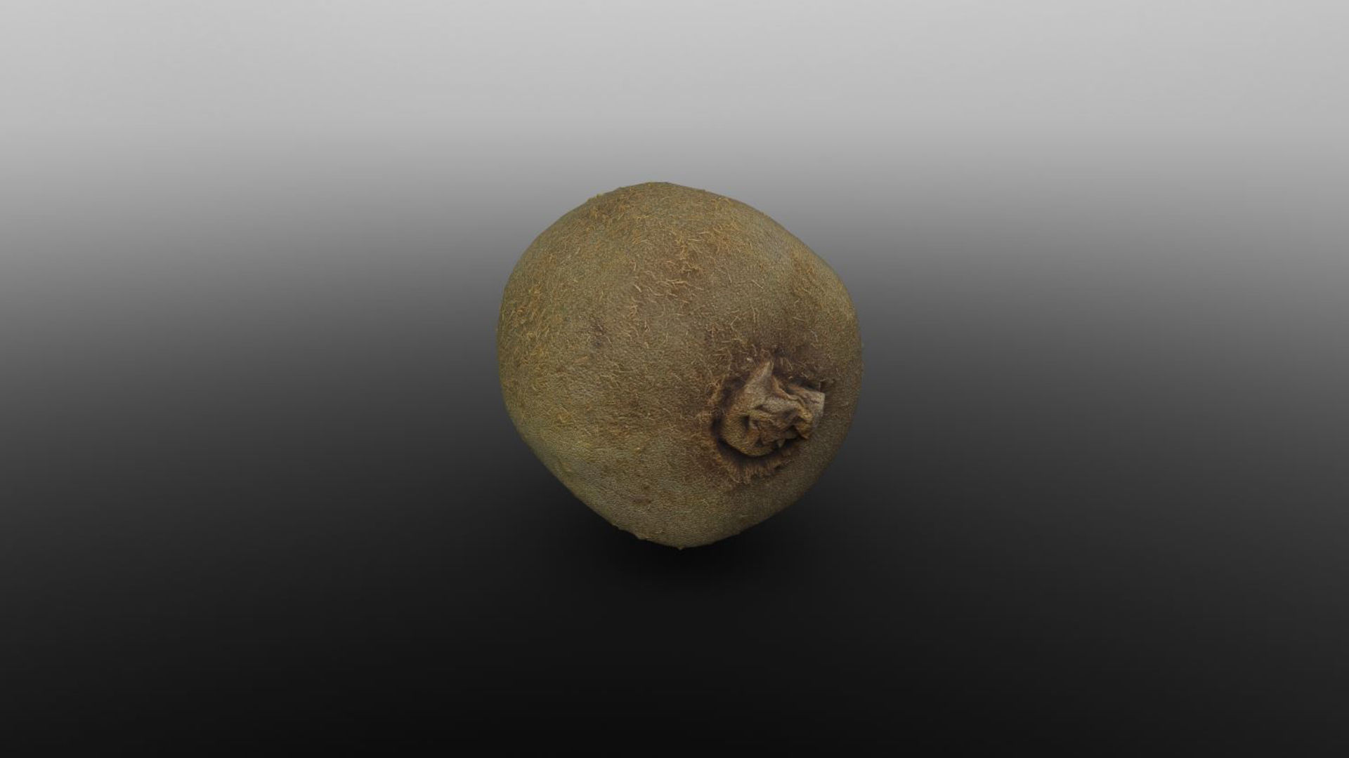 Photoscanned Kiwi for Unreal and Unity and FBX Free low-poly 3D model_3