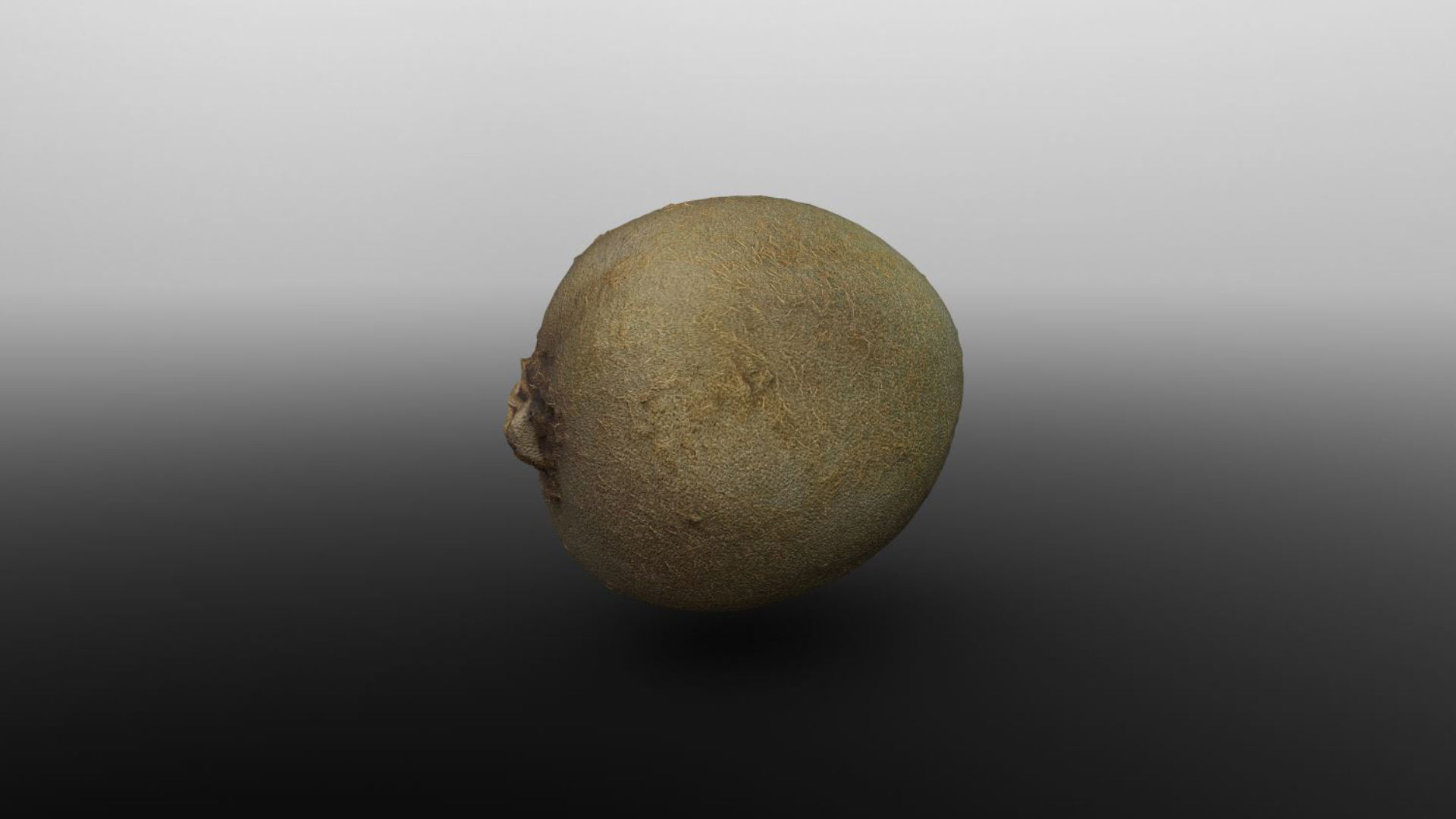 Photoscanned Kiwi for Unreal and Unity and FBX Free low-poly 3D model_6