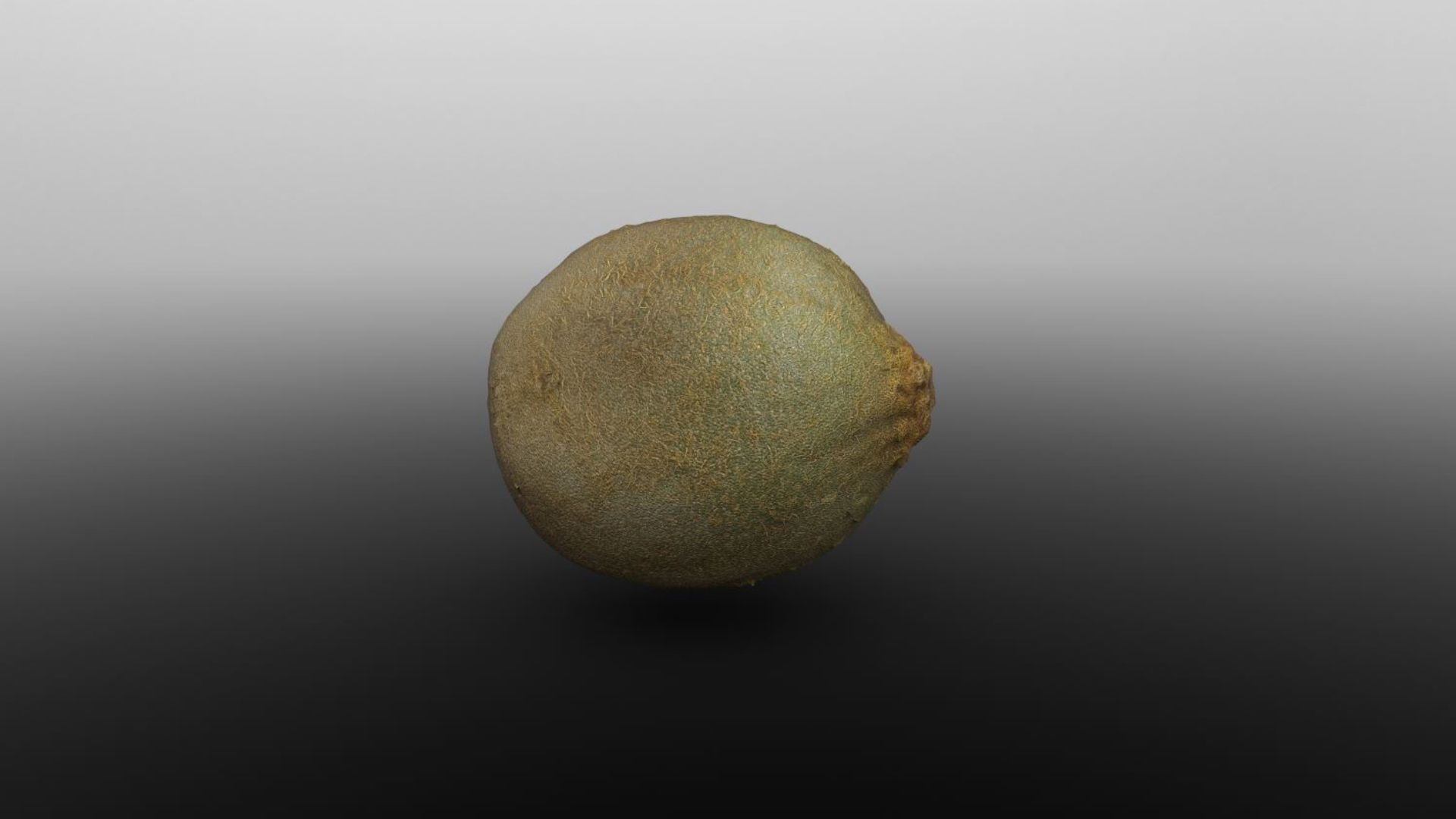 Photoscanned Kiwi for Unreal and Unity and FBX Free low-poly 3D model_7