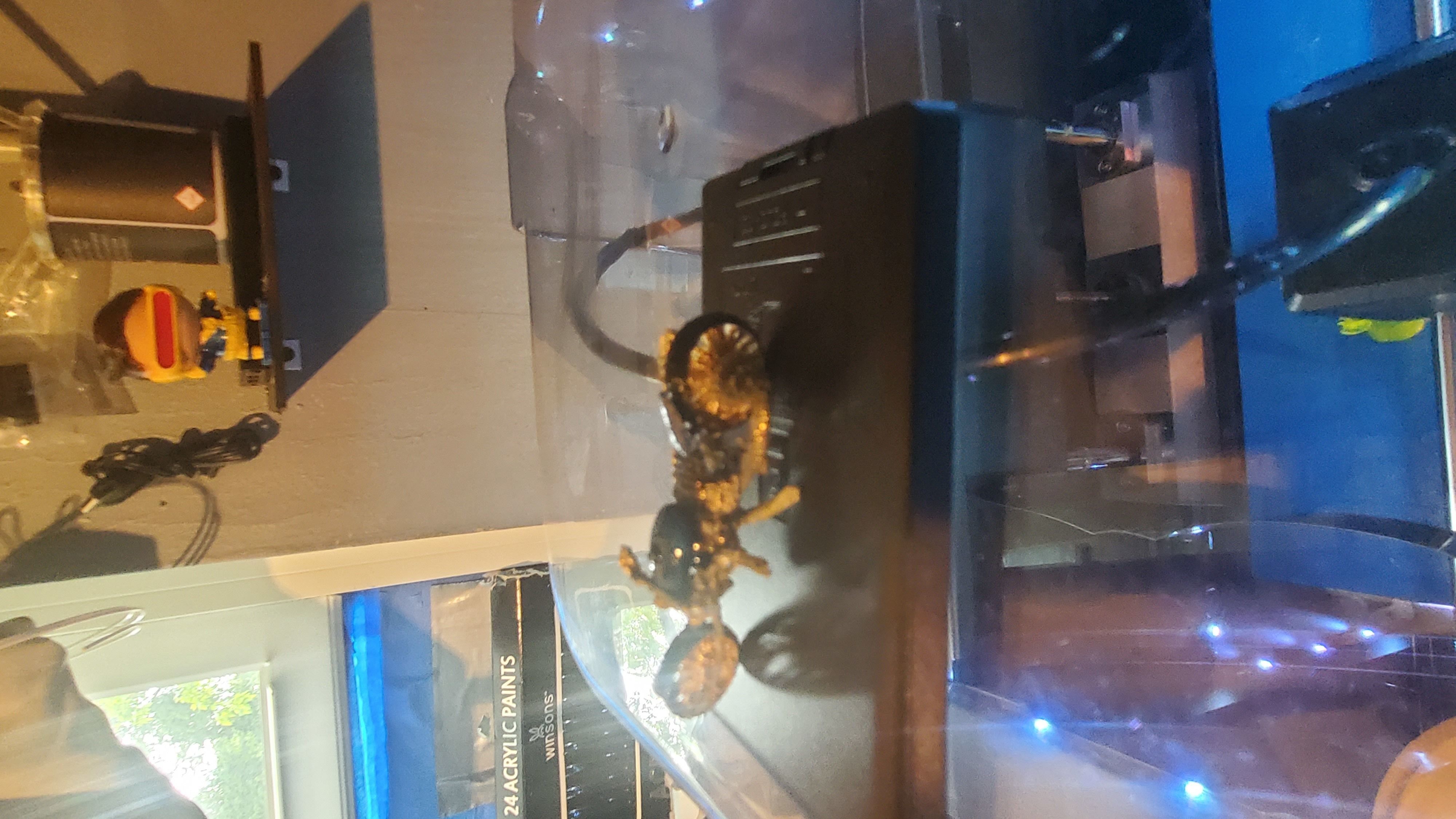 rat lowrider chopper 3D print model_30