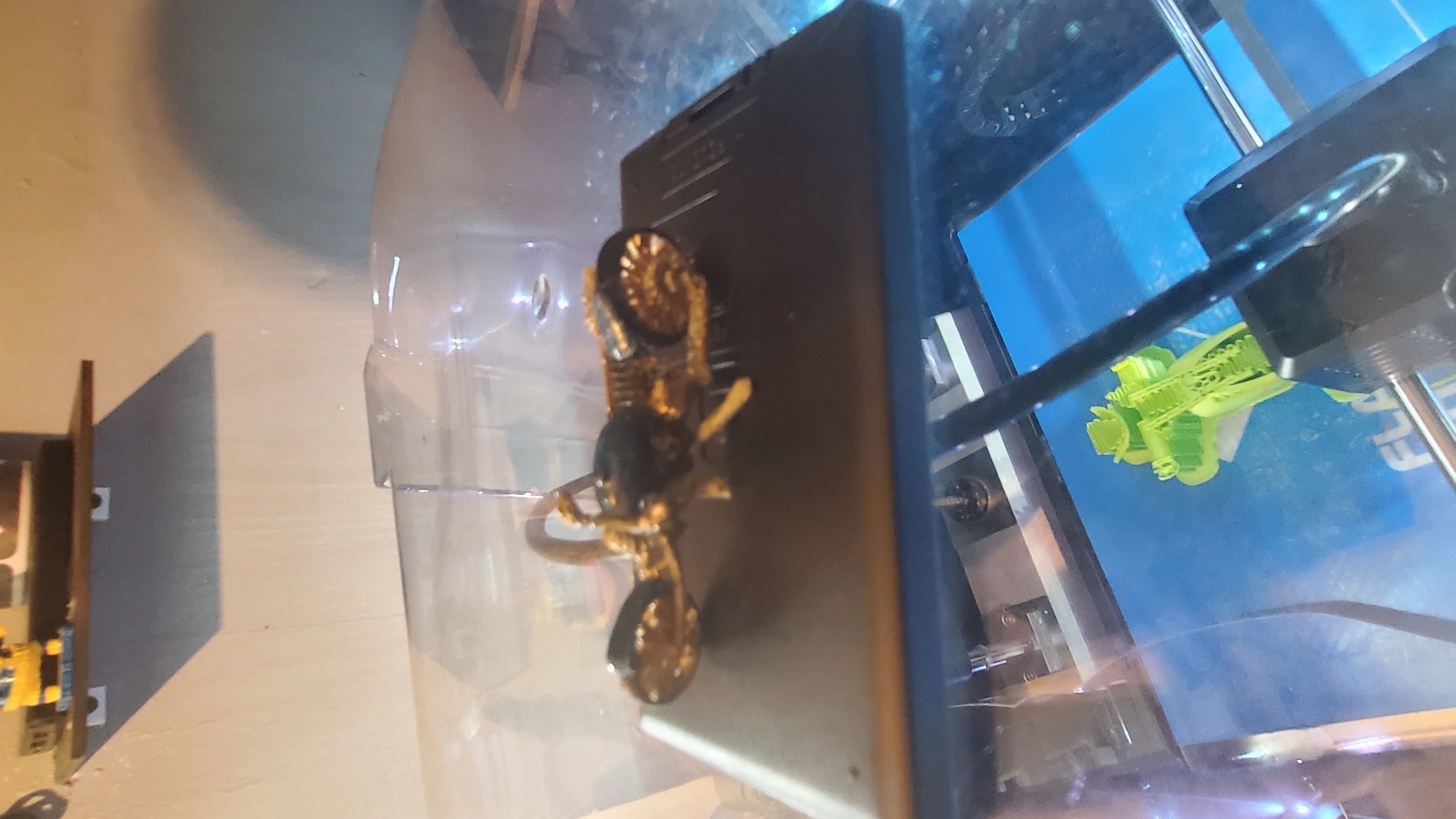 rat lowrider chopper 3D print model_22