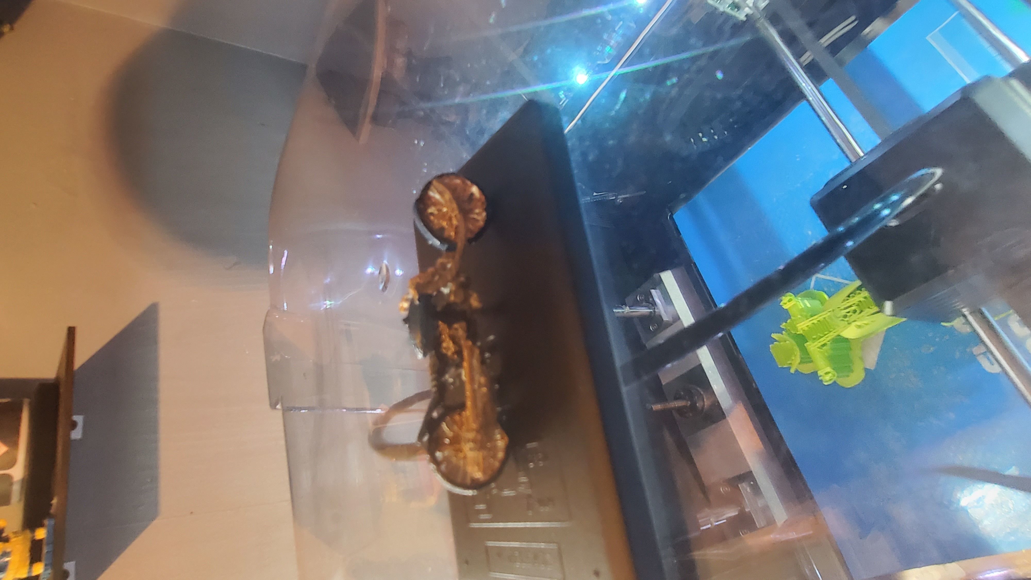 rat lowrider chopper 3D print model_24