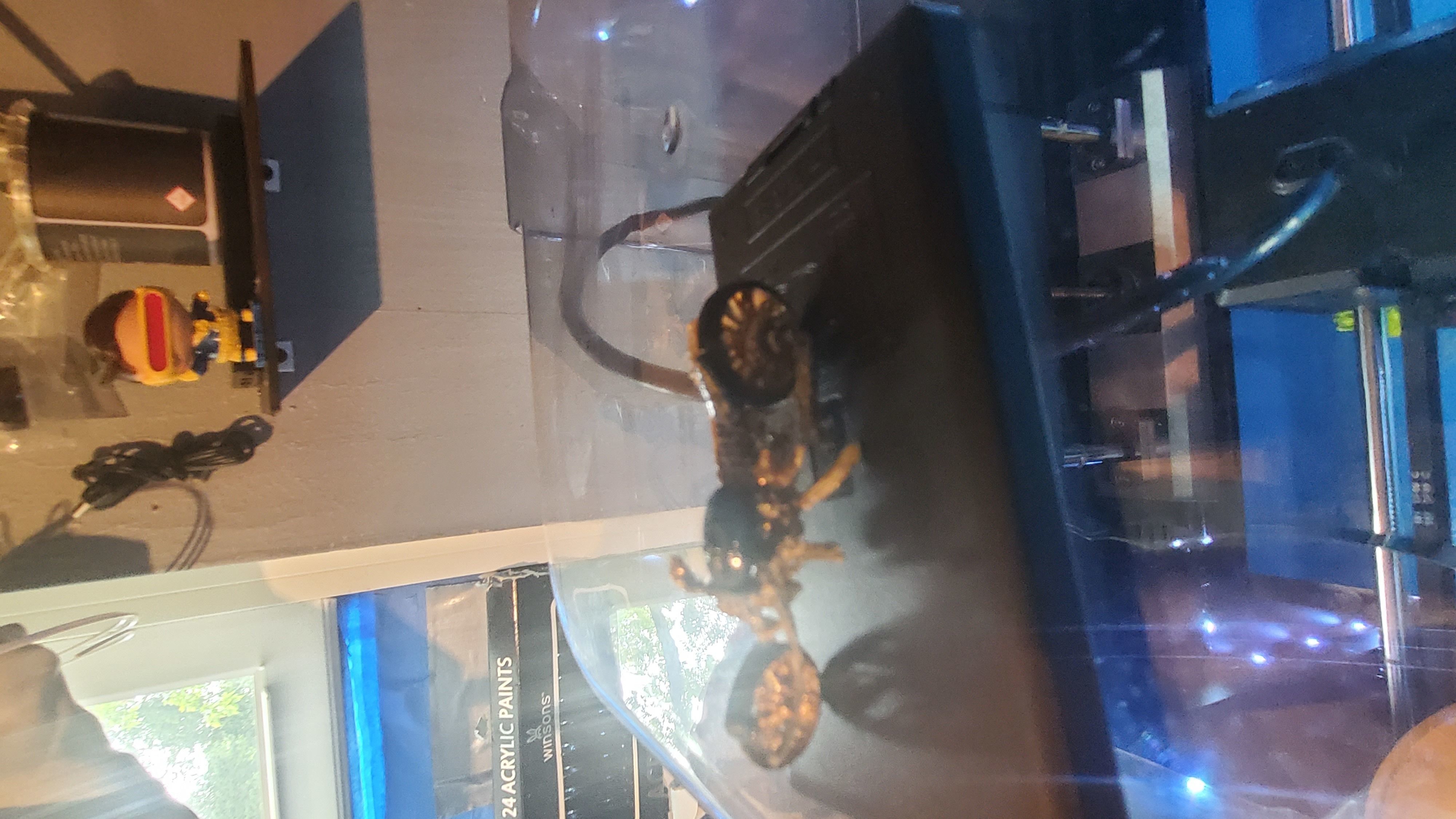 rat lowrider chopper 3D print model_29