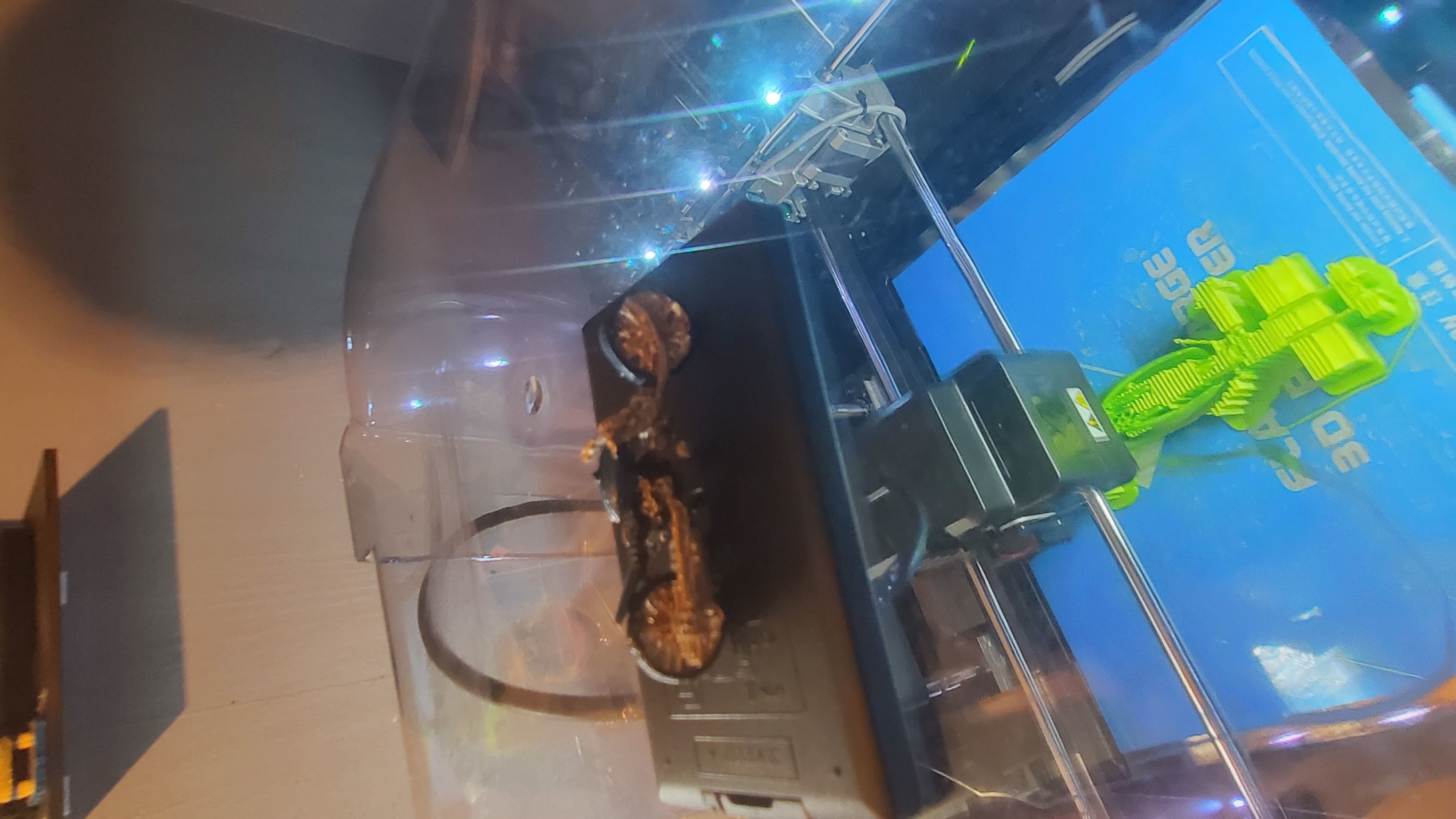 rat lowrider chopper 3D print model_25