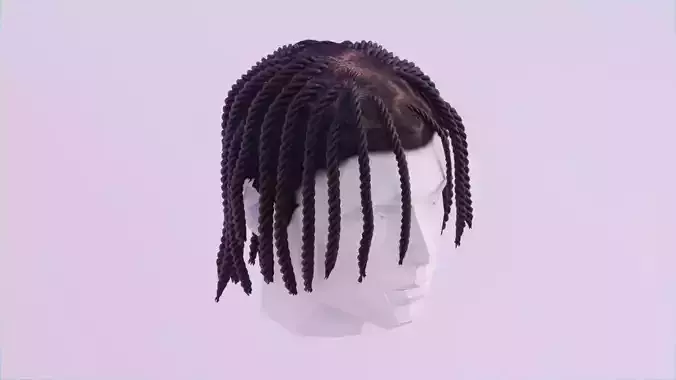 Polo G Dread Braids Low-poly 3D model