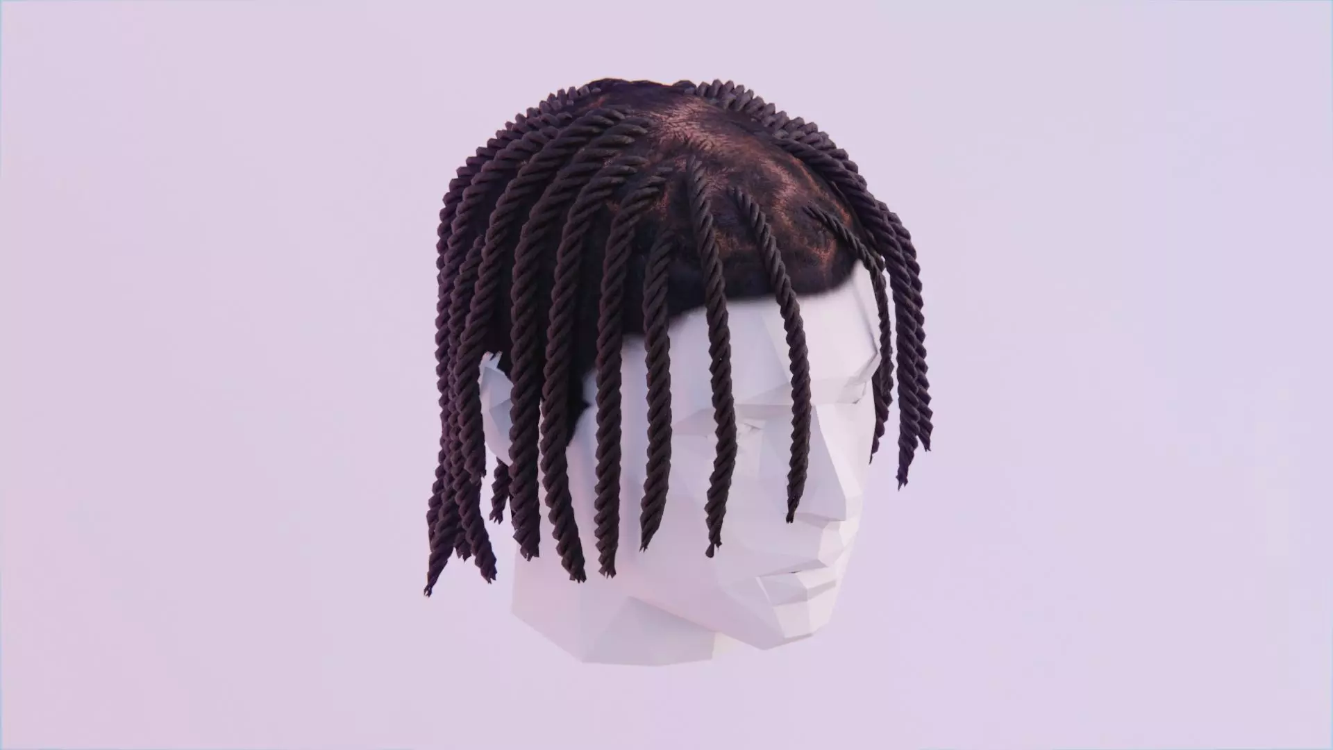 Polo G Dread Braids Low-poly 3D model_0