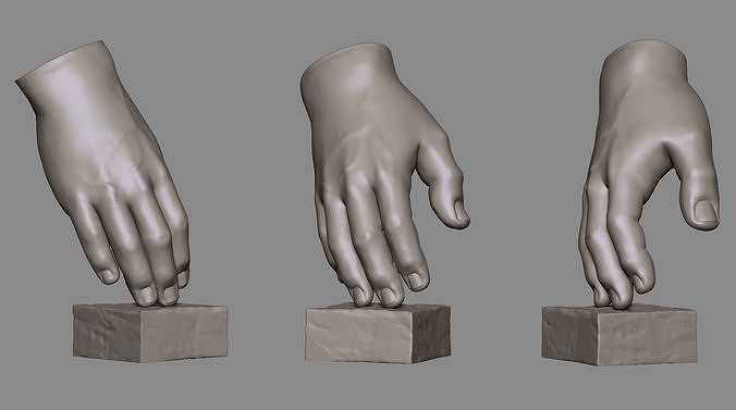 Hand  Sculpture 1 3D print model
