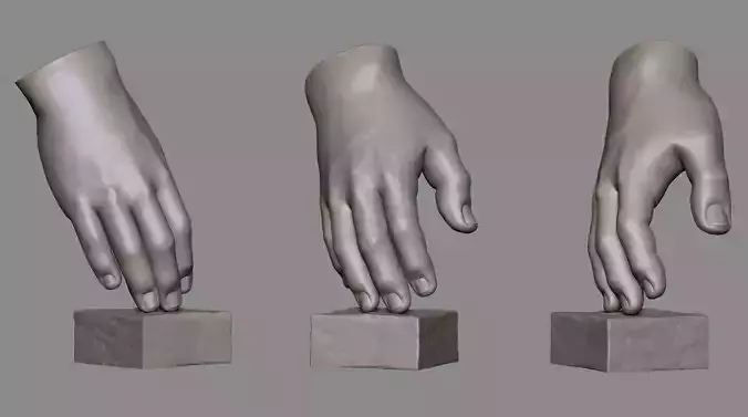 Hand  Sculpture 1 3D print model