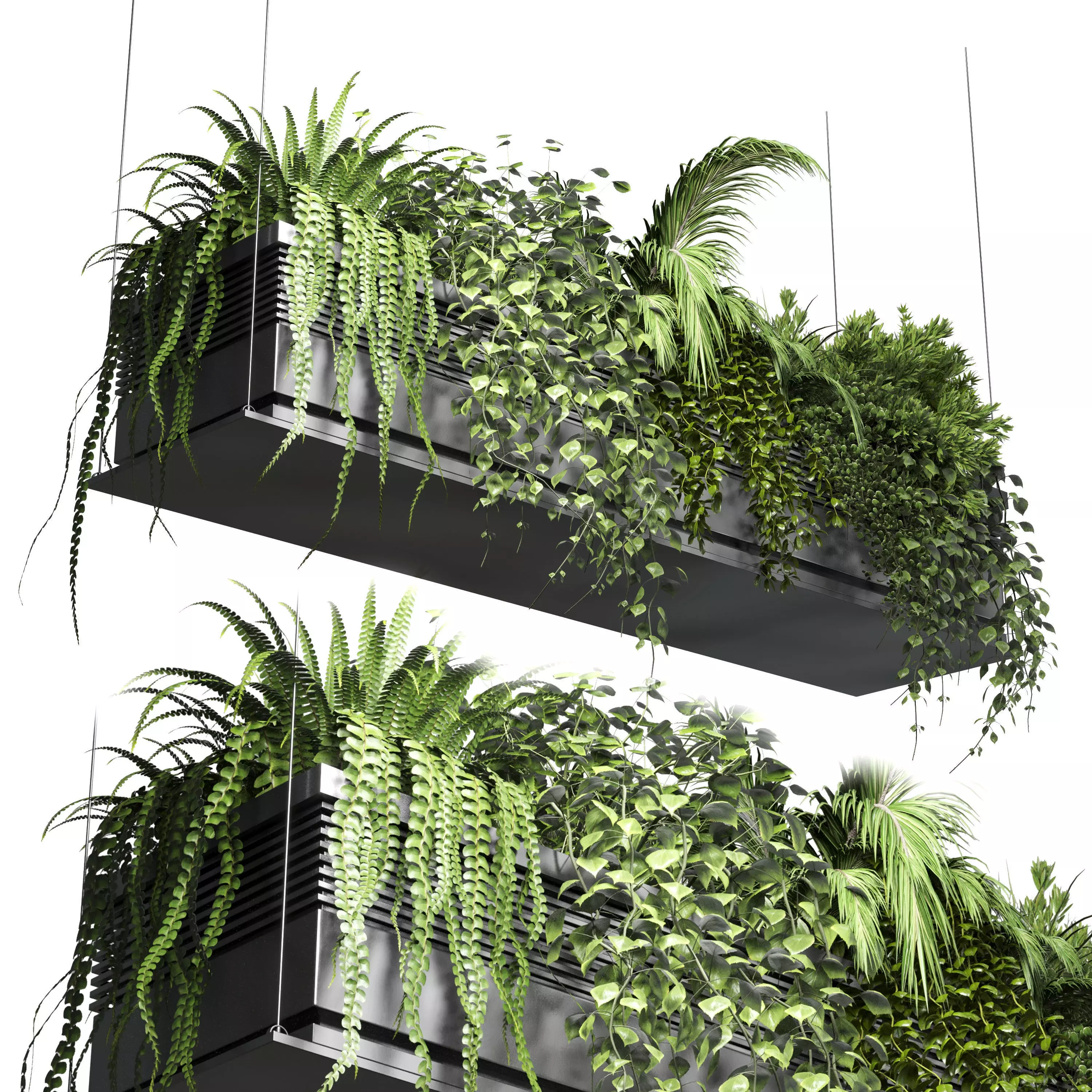 collection Indoor plants hanging pot 10 metal bax vase 3D model_0
