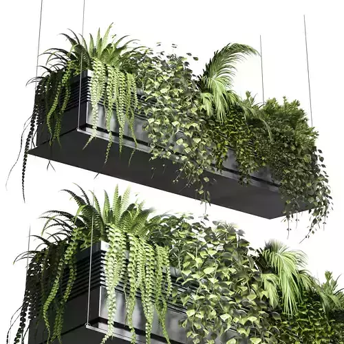 collection Indoor plants hanging pot 10 metal bax vase 3D model