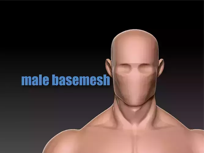Basemesh male