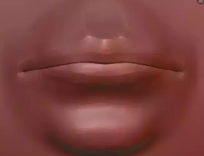 Human mouth and lips realistic
