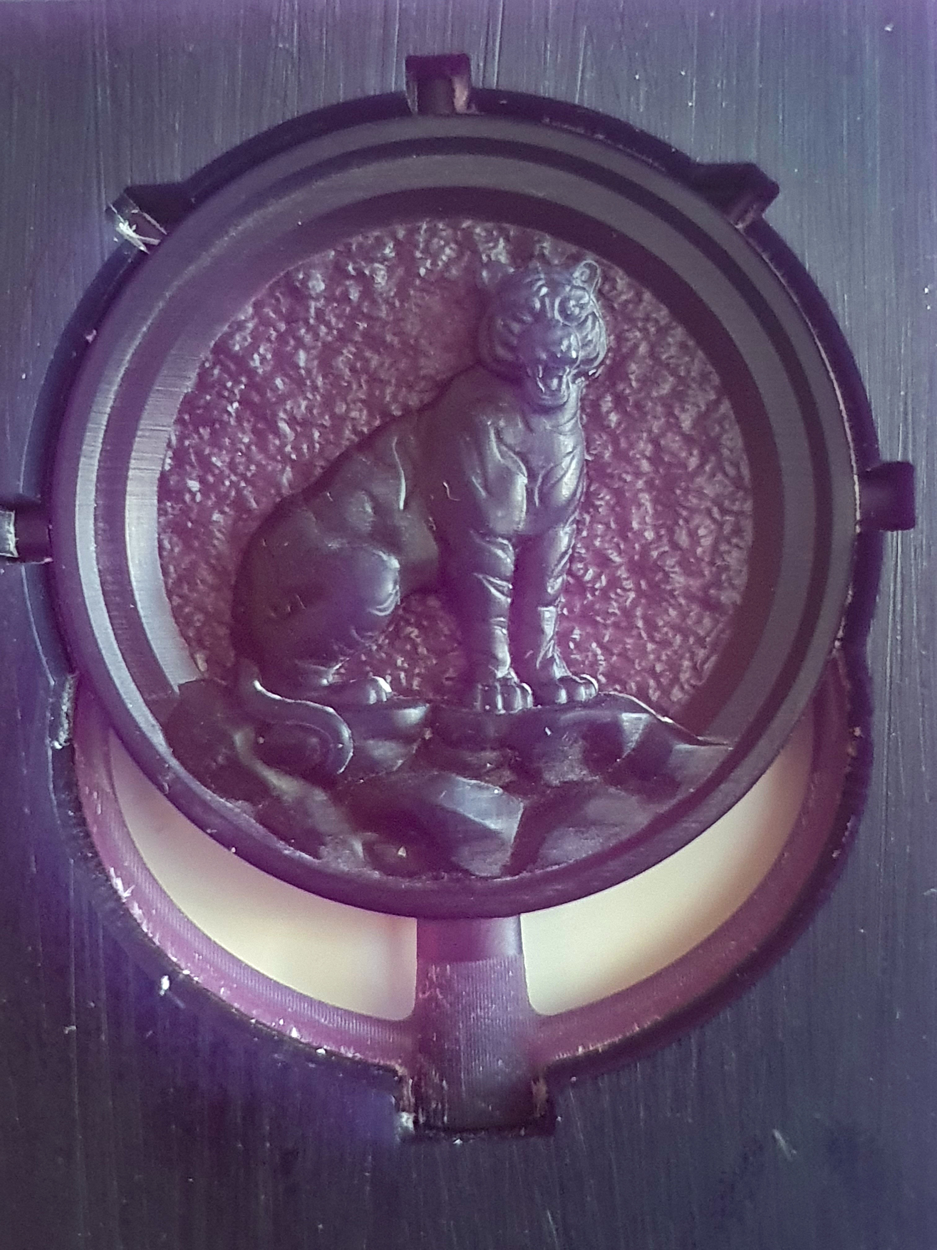 Tiger coin 2022 3D print model_12