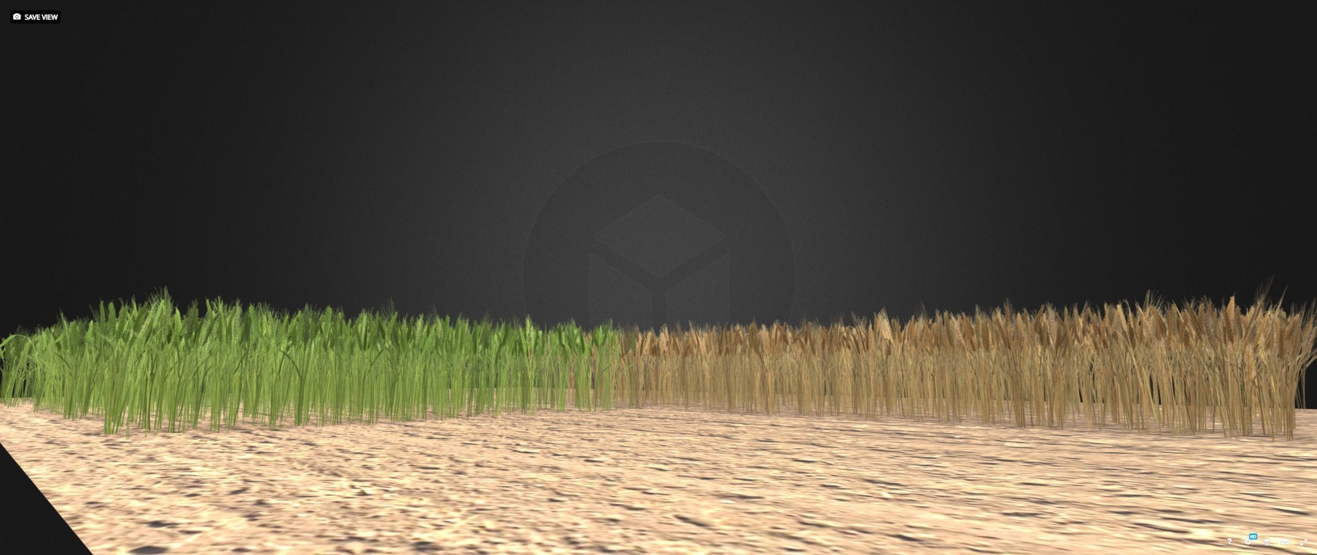 Wheat field Low-poly 3D model_15